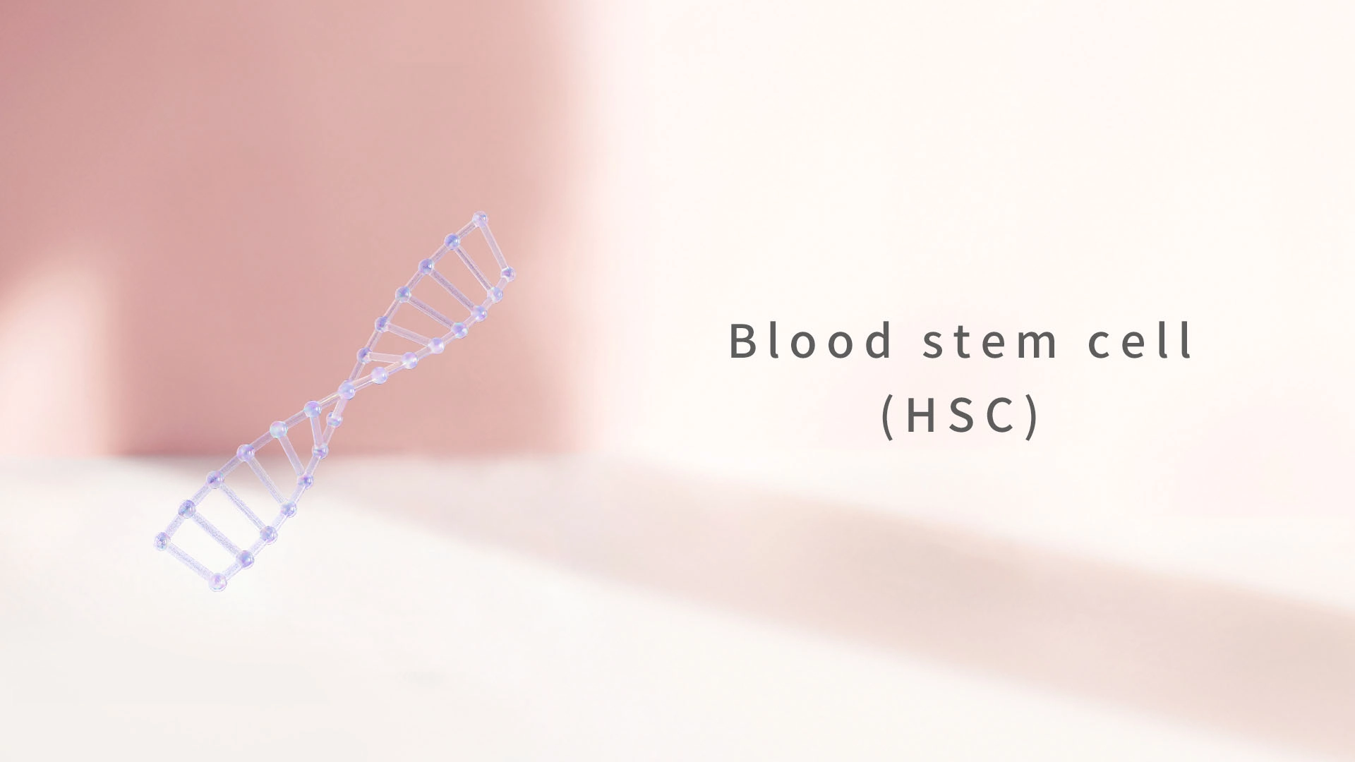 Blood stem cell (HSC)